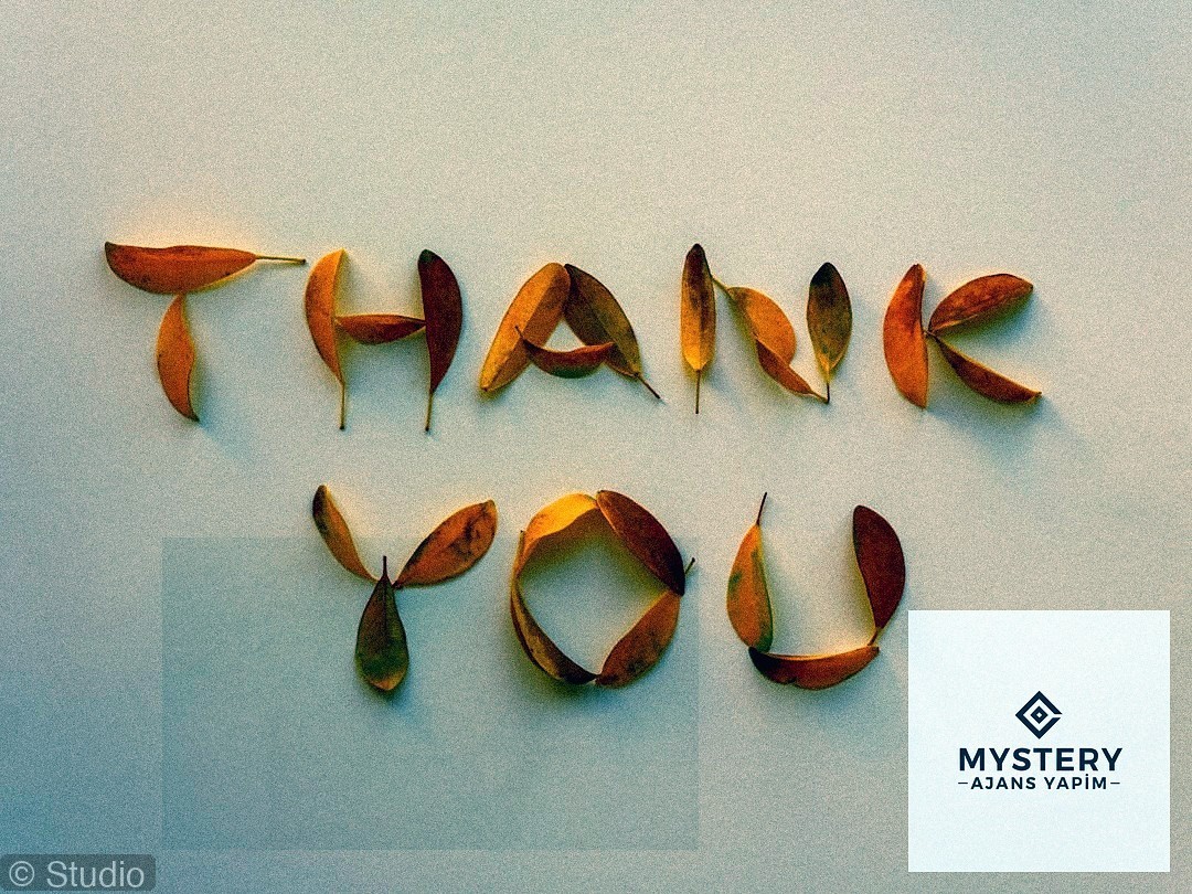 Konser ve Festivaller